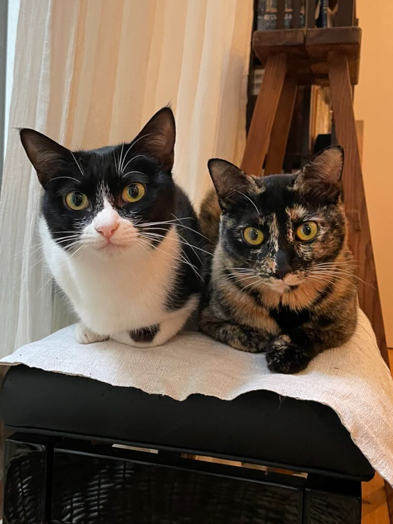 製品PD No.126大きめヘチマ衿ブラウス