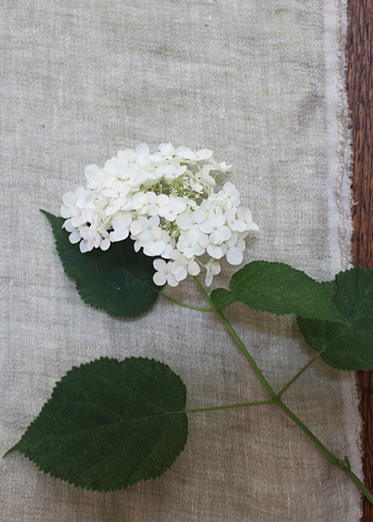 Linen Double Gausee Mossgreen