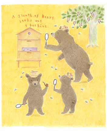Collective noun　Bears