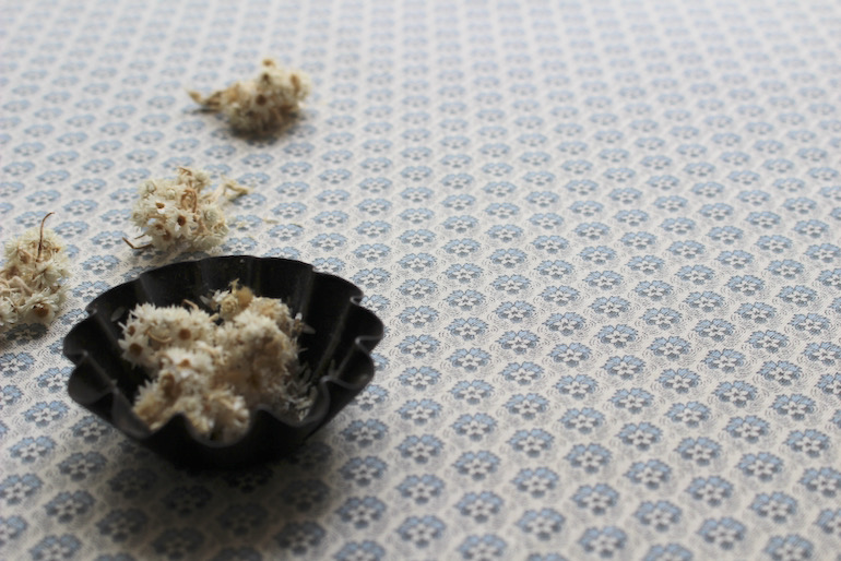 Jpi La Vie Boheme フラヌール<br />パ-ル-　Fブル-