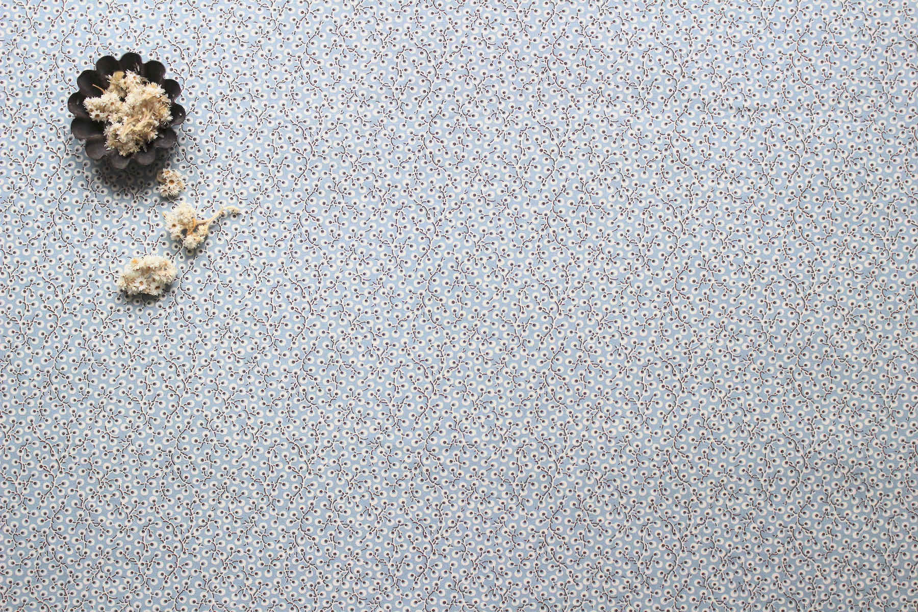 Jpi La Vie Boheme 実のなるコリーヌ<br />フレンチブル-