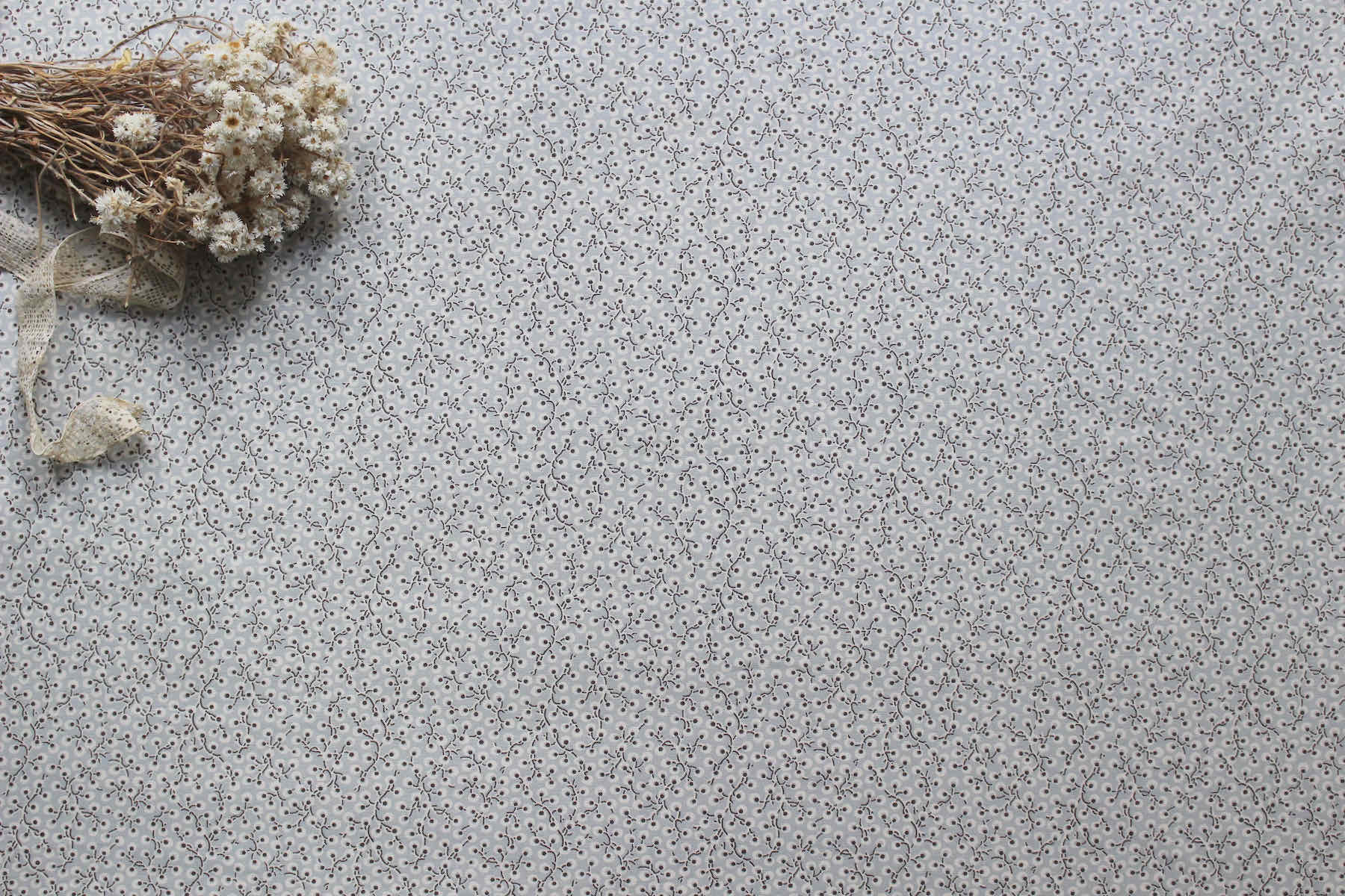 Jpi La Vie Boheme 実のなるコリーヌ<br />シエルブル-