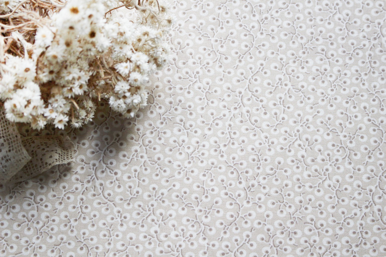 Jpi La Vie Boheme 実のなるコリーヌ<br />オイスタ-