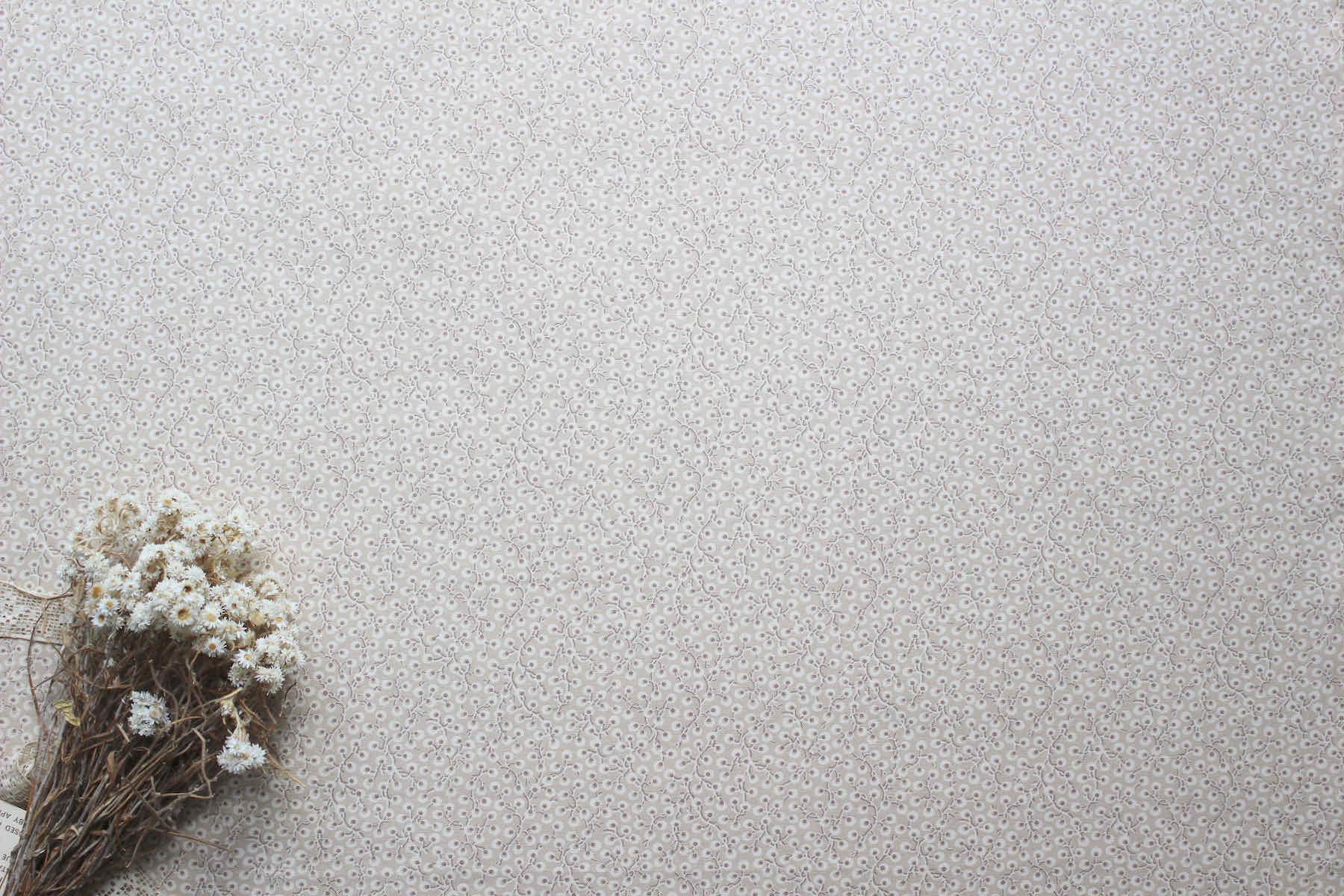 Jpi La Vie Boheme 実のなるコリーヌ<br />オイスタ-