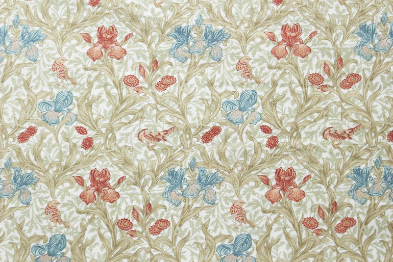 Ji アイリス<br />白