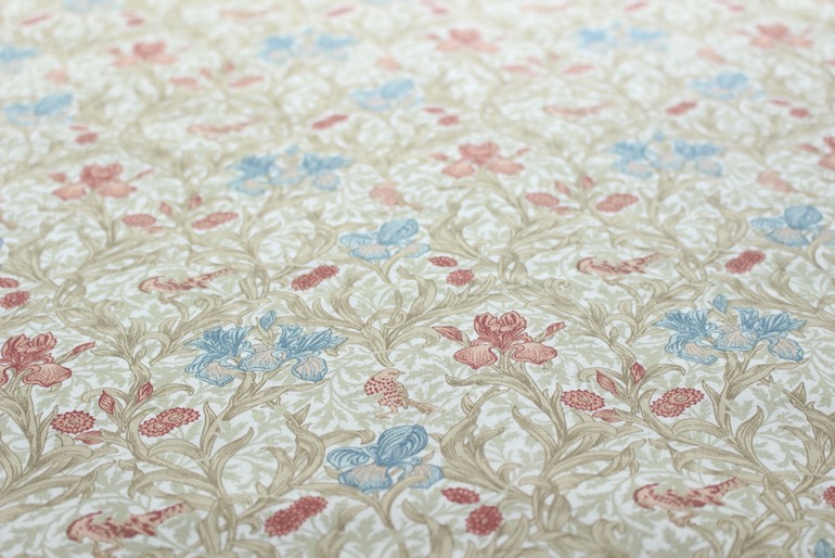 Ji アイリス<br />白