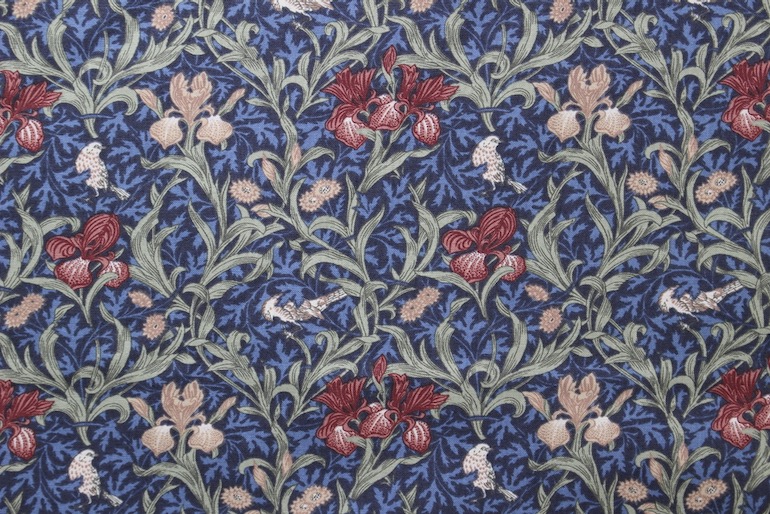 Ji アイリス<br />ブル--赤