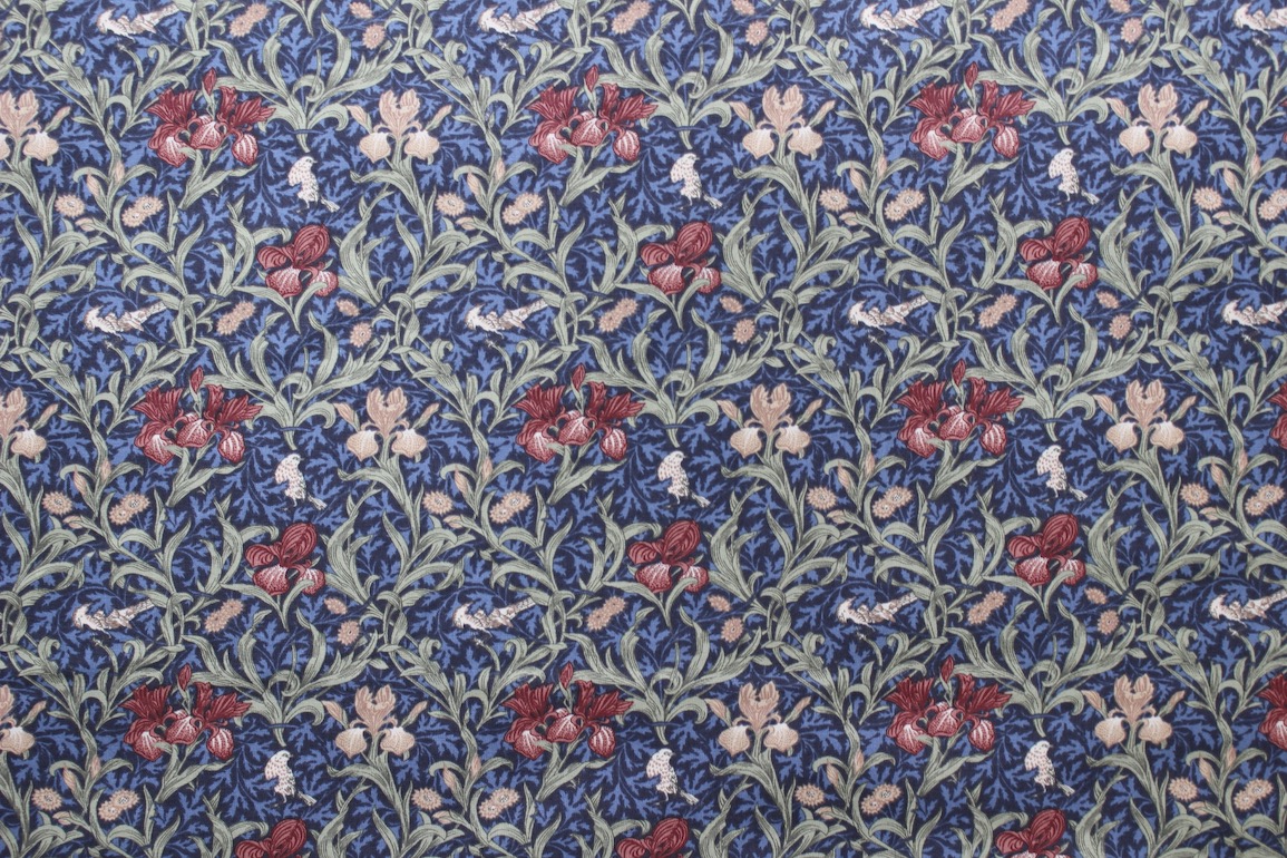 Ji アイリス<br />ブル--赤