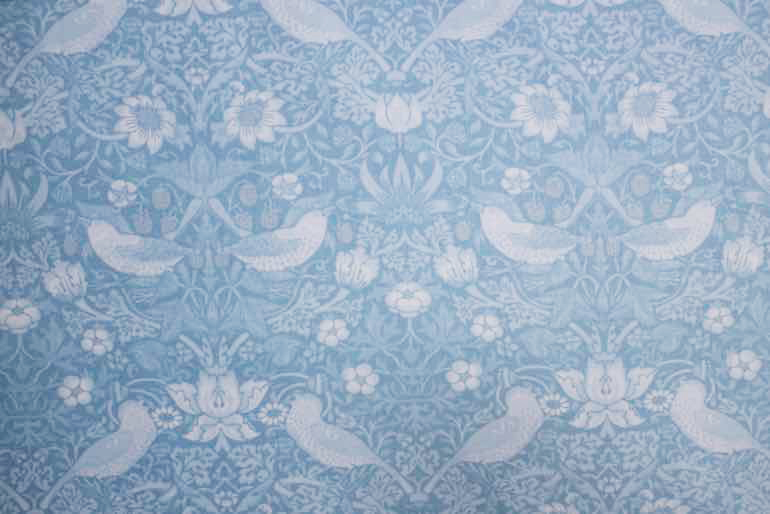 Ji いちごどろぼう　シーチングF<br />パステルブル-