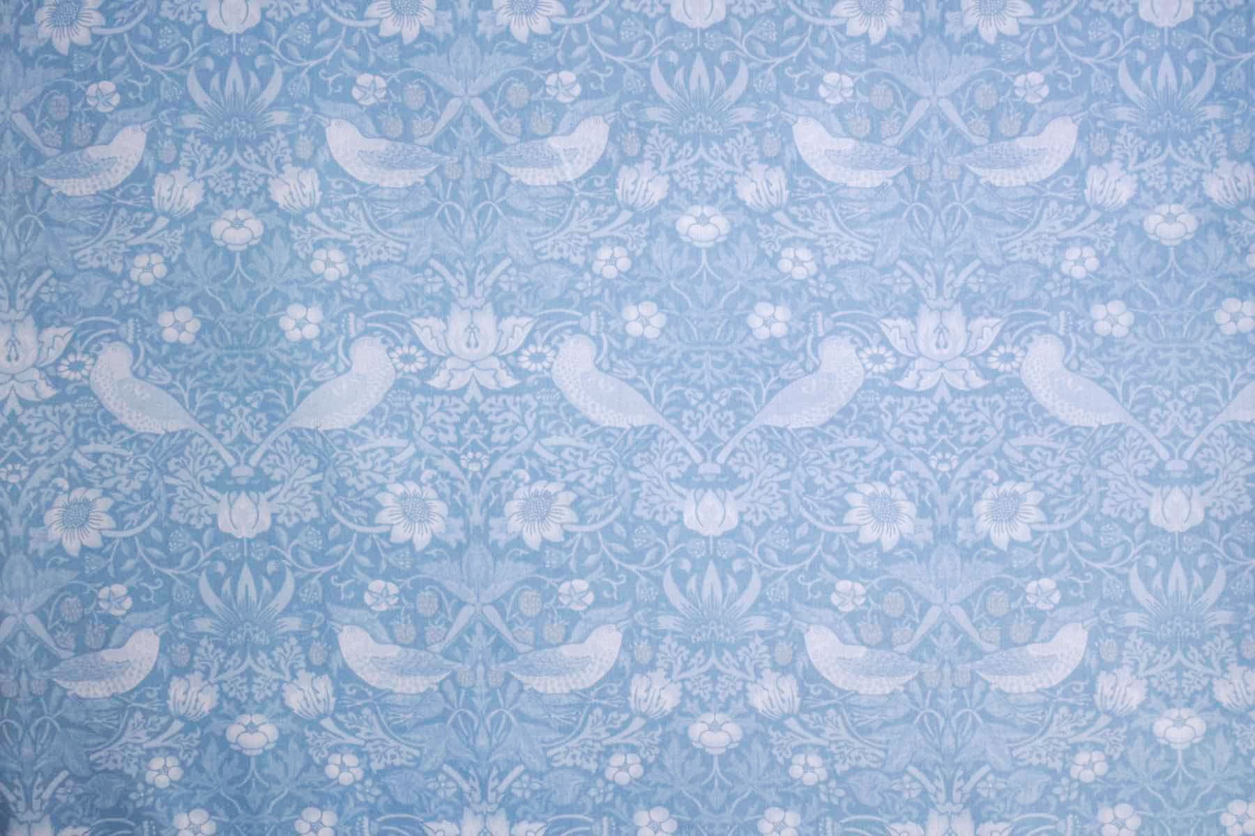 Ji いちごどろぼう　シーチングF<br />パステルブル-