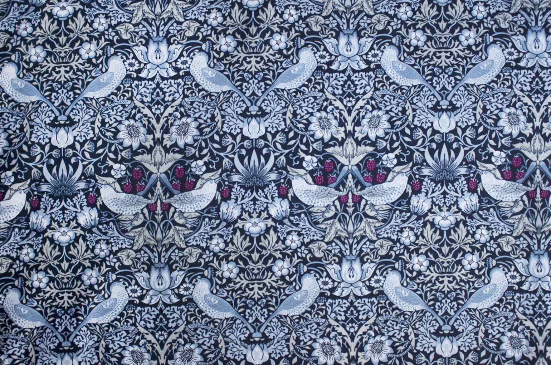 Ji いちごどろぼう　シーチングF<br />黒×ライトグレ-ベ-ジュ