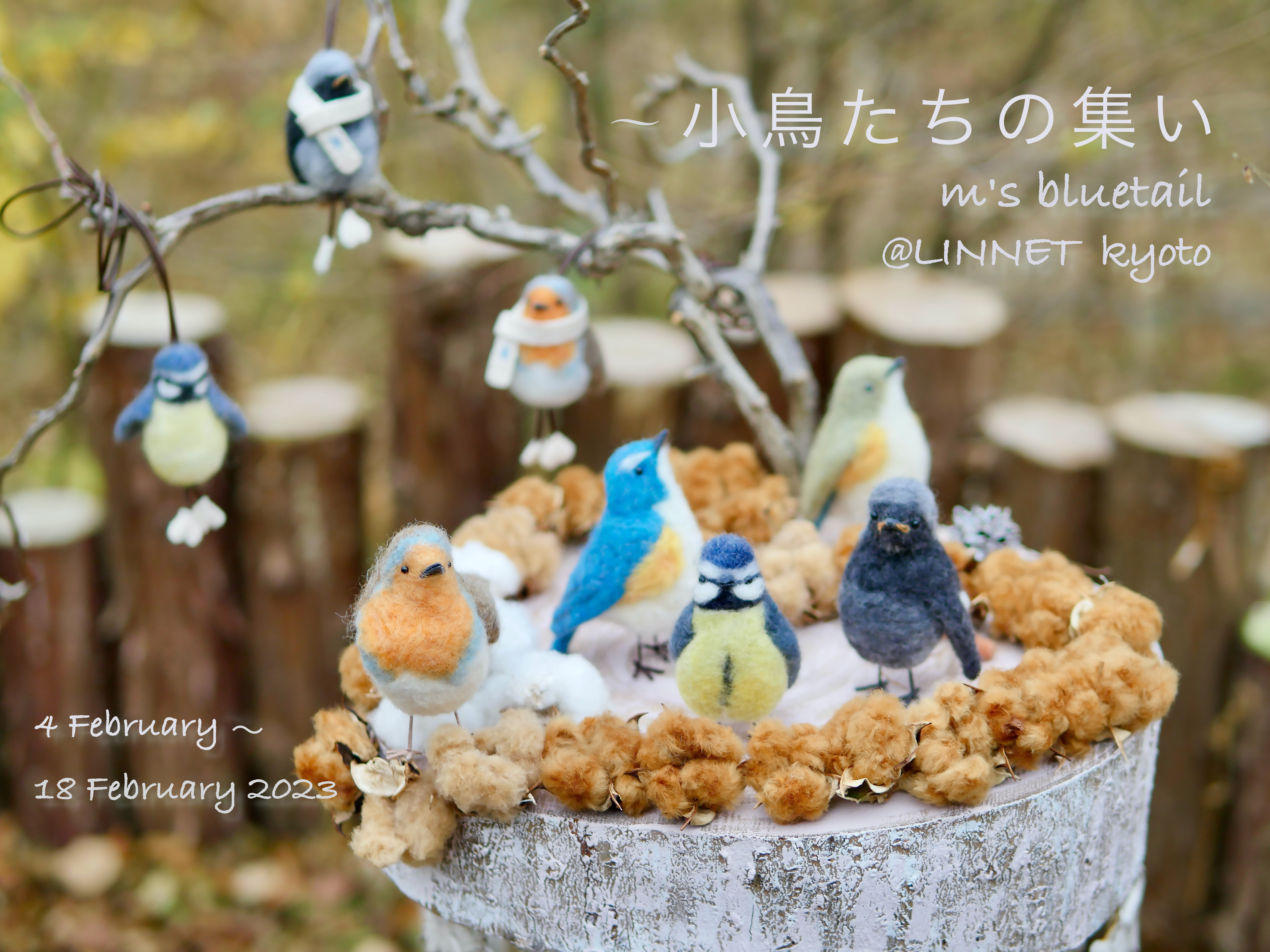 m`s bluetail「小鳥たちの集い」 @ LINNET 2023