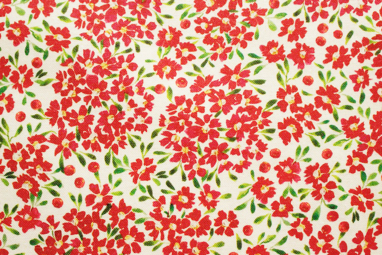 Jpi Comfort and Joy　ホーリーベリー<br />クラウド