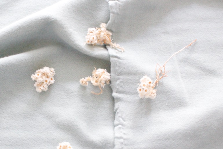 Jcコットン裏毛起毛<br />セ-ジ