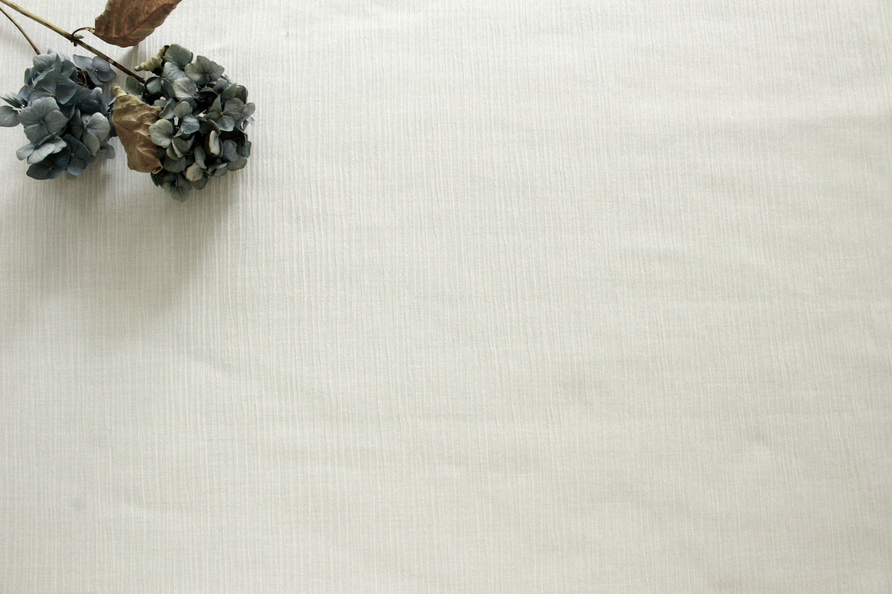 Jcコットン楊柳w148cm<br />白