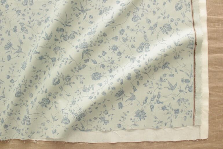 Sacre Blue French General <br />フラワ- シエルブル-
