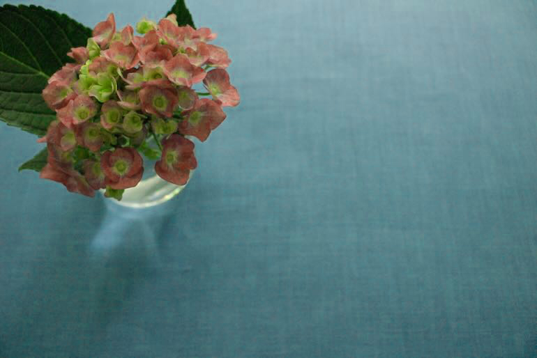 LINNET Fab<br />レイクブル-