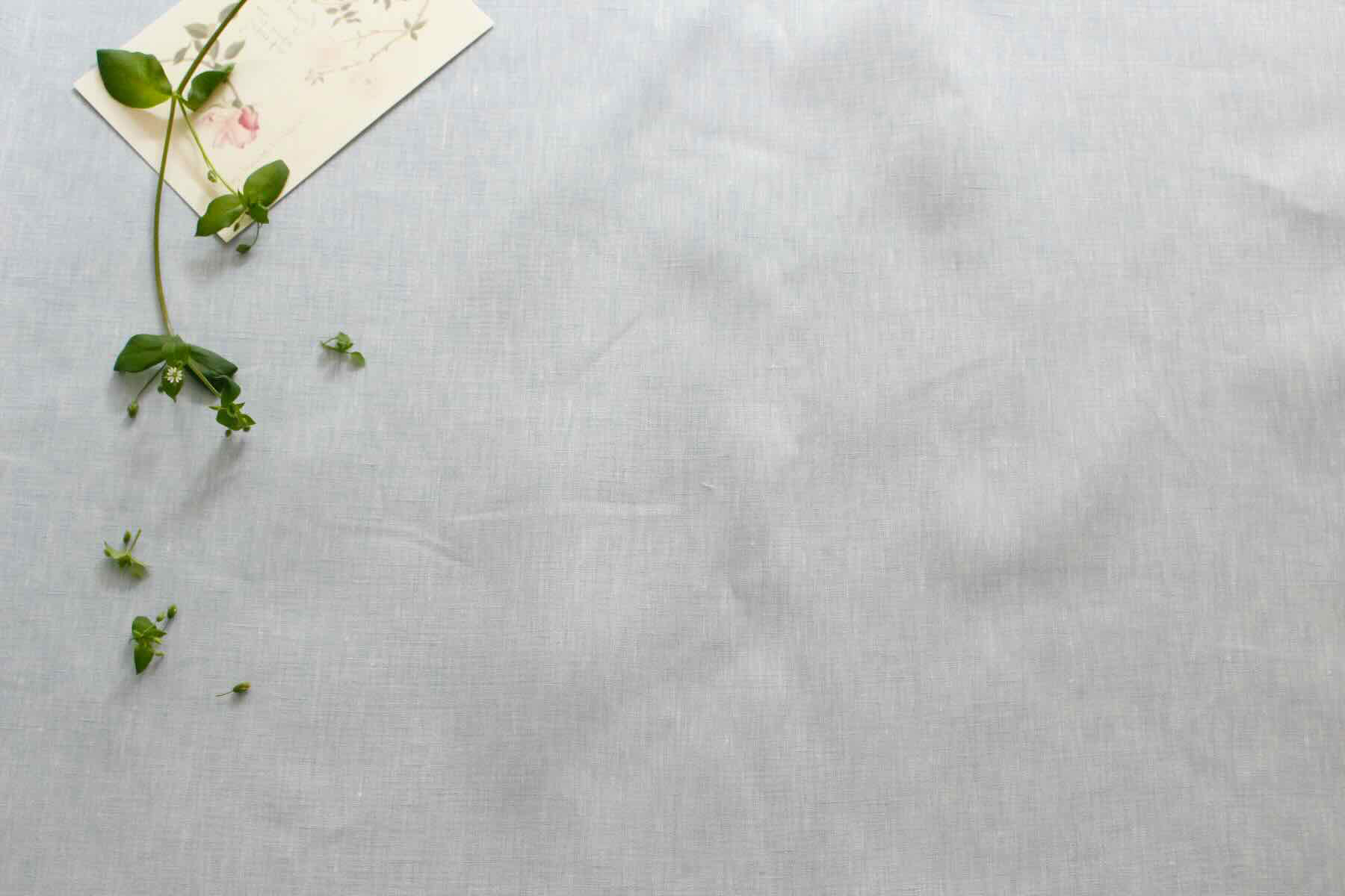 LINNET シャンブレイ<br />アクア2